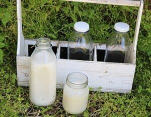 Fresh Milk